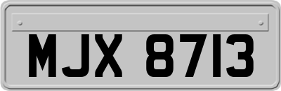 MJX8713