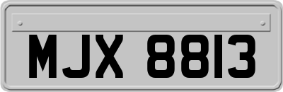 MJX8813