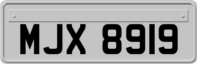 MJX8919