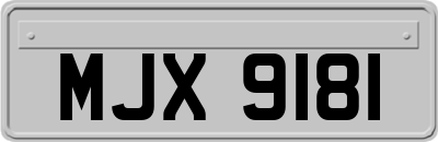 MJX9181