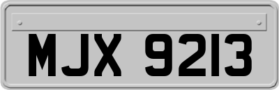 MJX9213