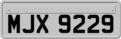 MJX9229