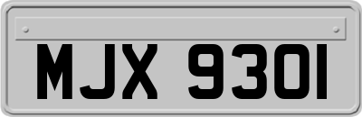 MJX9301
