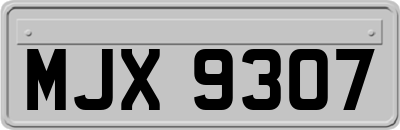 MJX9307