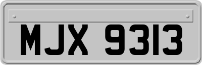 MJX9313
