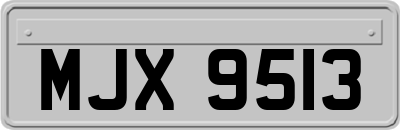 MJX9513