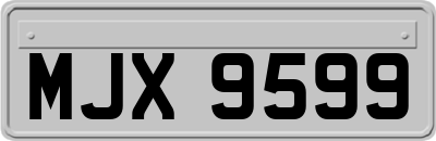 MJX9599