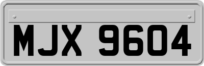 MJX9604