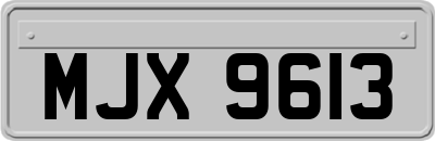 MJX9613
