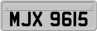 MJX9615