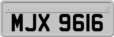 MJX9616