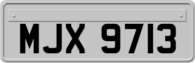 MJX9713