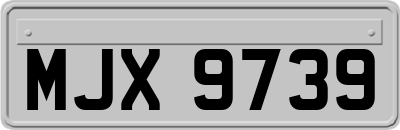 MJX9739