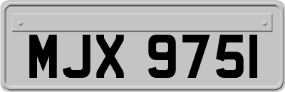 MJX9751