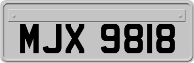 MJX9818