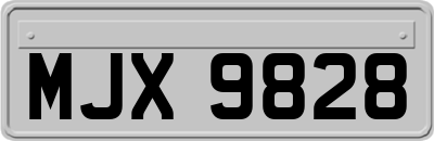 MJX9828