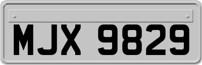 MJX9829