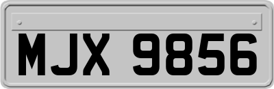 MJX9856