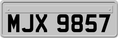MJX9857