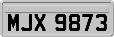 MJX9873
