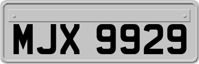 MJX9929