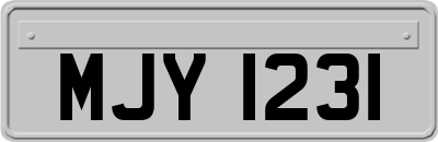 MJY1231