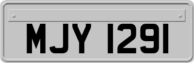 MJY1291