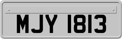 MJY1813