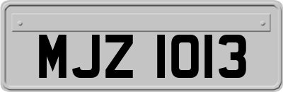 MJZ1013