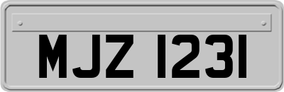 MJZ1231