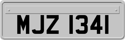 MJZ1341