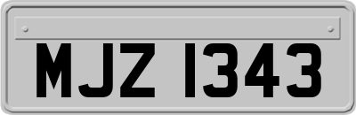 MJZ1343