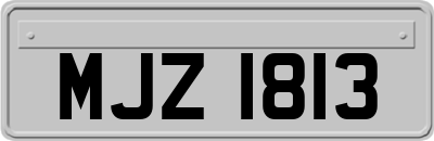 MJZ1813