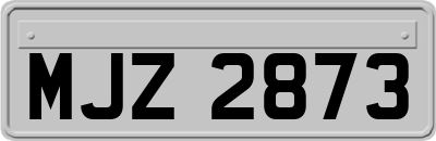 MJZ2873
