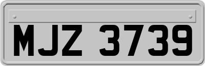 MJZ3739