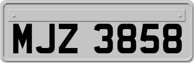 MJZ3858