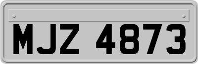 MJZ4873