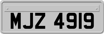 MJZ4919