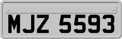 MJZ5593