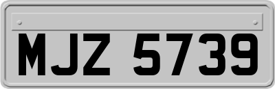 MJZ5739
