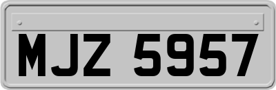 MJZ5957