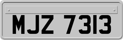 MJZ7313