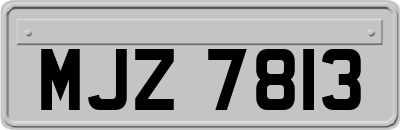 MJZ7813