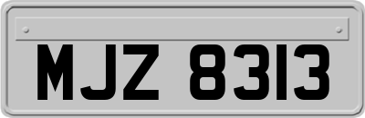 MJZ8313