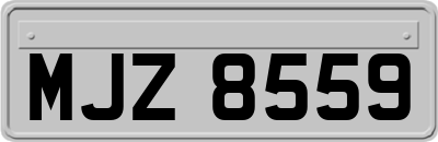 MJZ8559