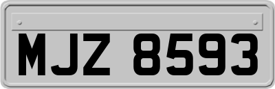 MJZ8593