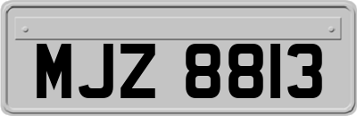 MJZ8813