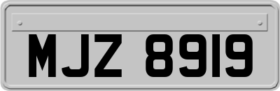 MJZ8919