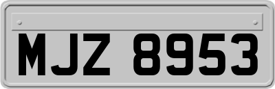 MJZ8953