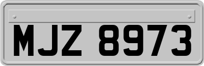 MJZ8973